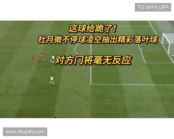 杜月徵绝妙落叶球安东尼奥狂欢 杜月徵绝妙落叶球安东尼奥狂欢